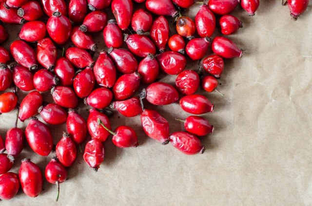 Šolja čaja od šipka svakog dana – štiti od srčanih oboljenja, smanjuje bolove...